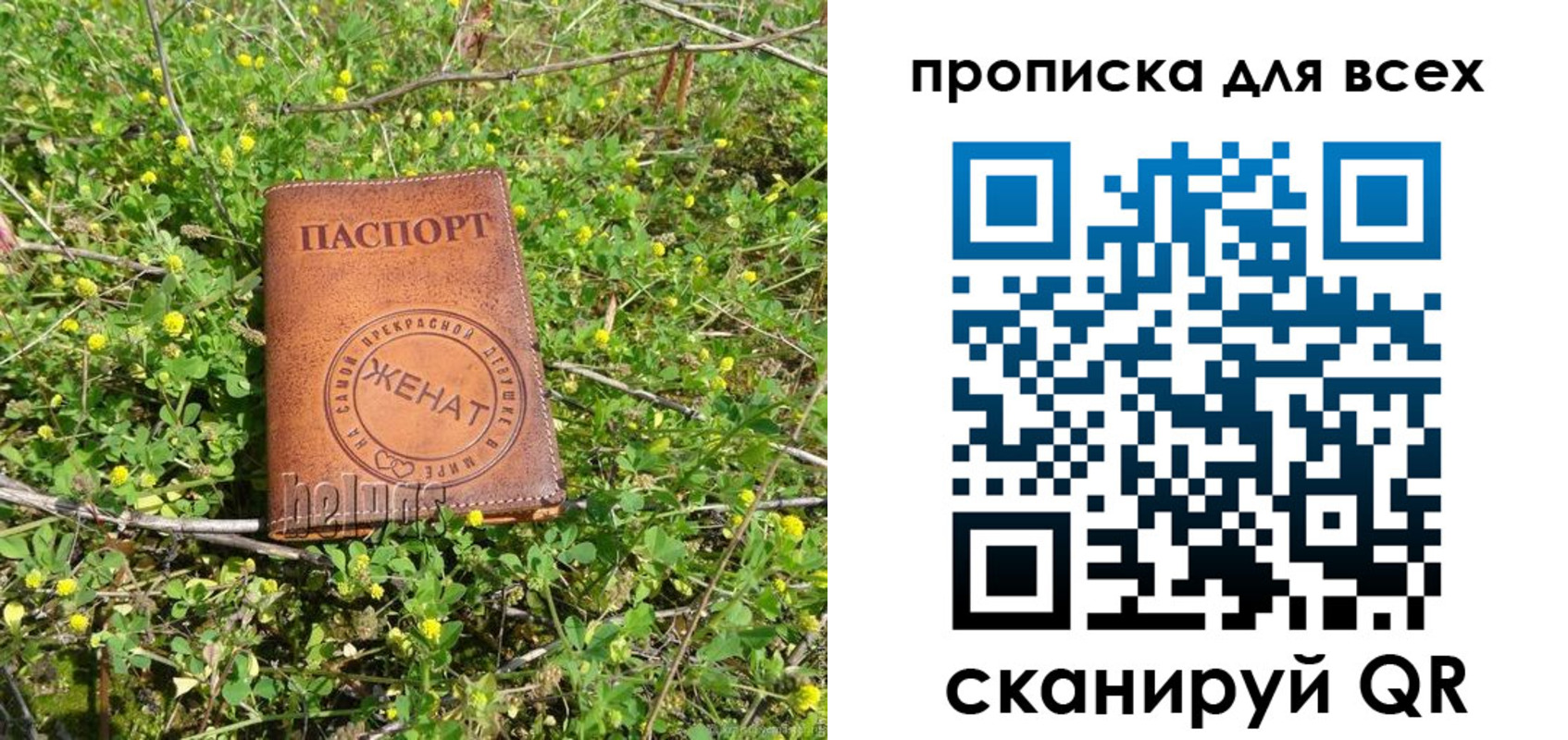 прописка поиск в Лагани
